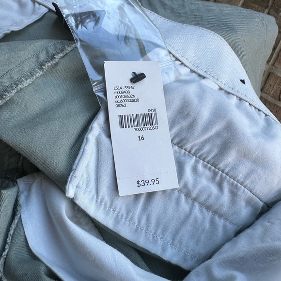 Lane Bryant Green Flat Front Shorts - Picture 8 of 8